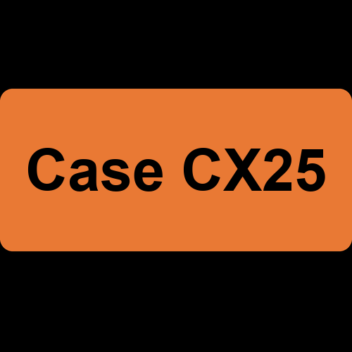 Case CX25